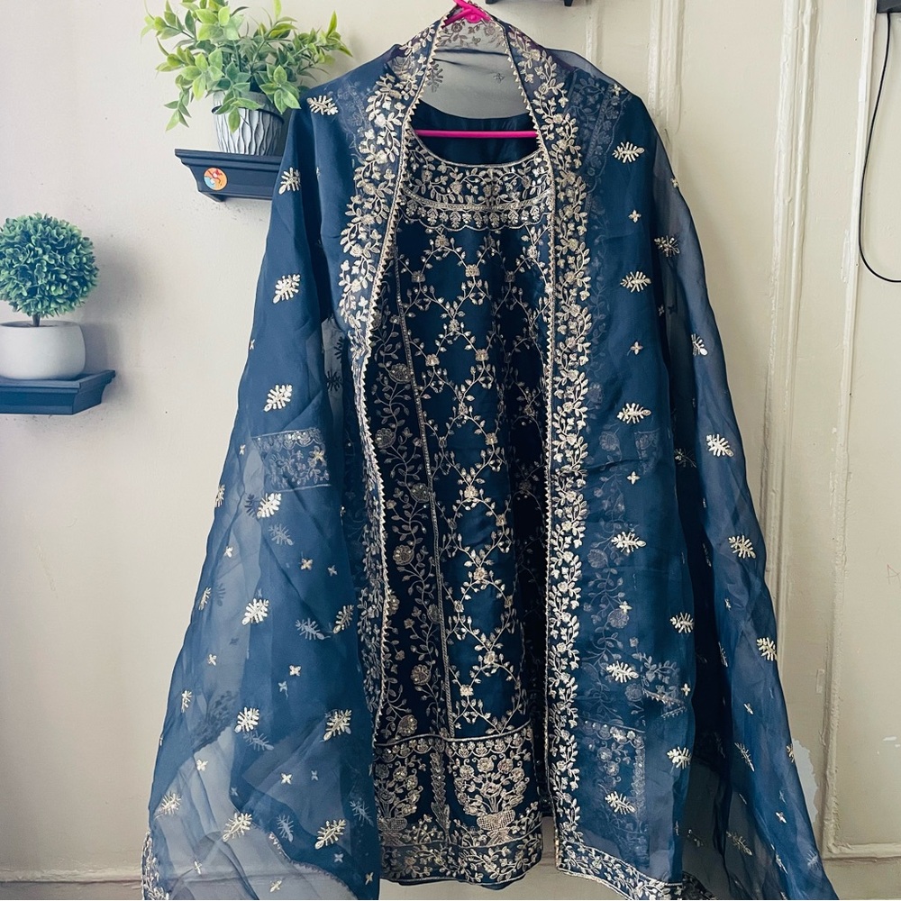 #12 Organza party dress Salwar kameez